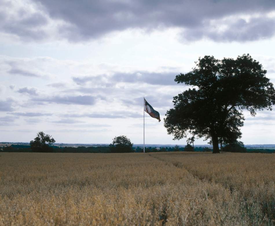 A photograph of a large field growing wheat with a flagpole at the centre.