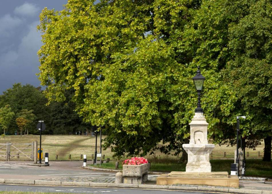 A photograph of a stone water fountain and water trough filled with flowers beside a road.
