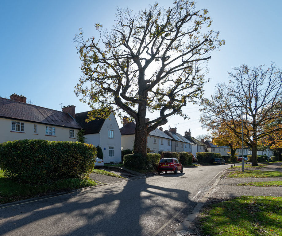 A photograph of a road featuring semi-detached houses with front gardens with large trees.