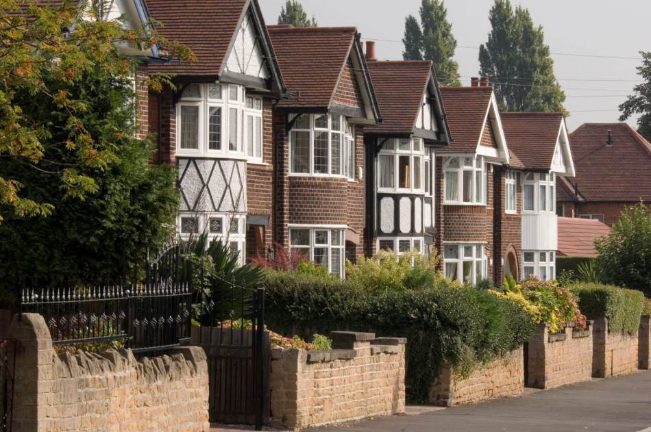 A photograph of a row of detached houses with large shrubs in the front gardens.