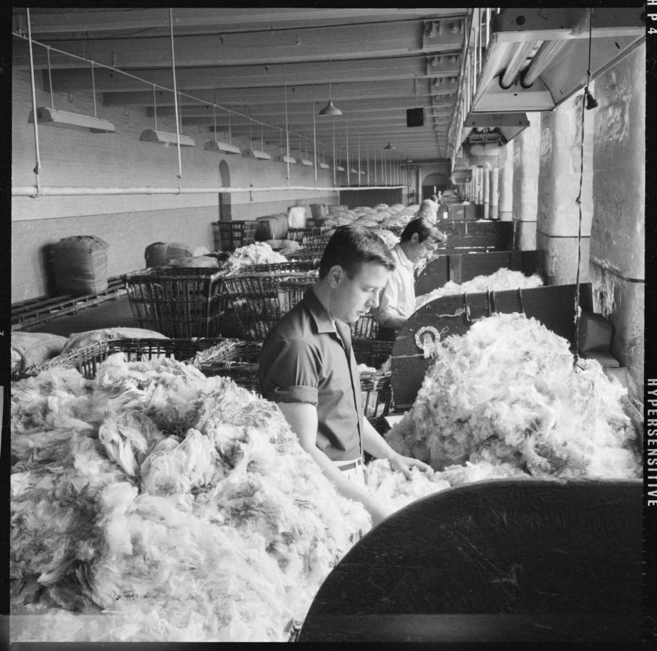 A black and white photograph of 2 people standing at tables covered in raw wool inside a factory.
