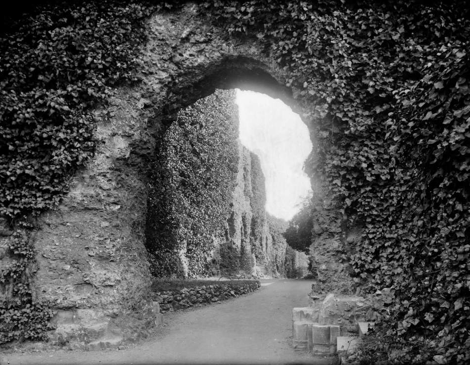 A black and white photograph of the ruins of an entrance to a cloister covered in ivy.