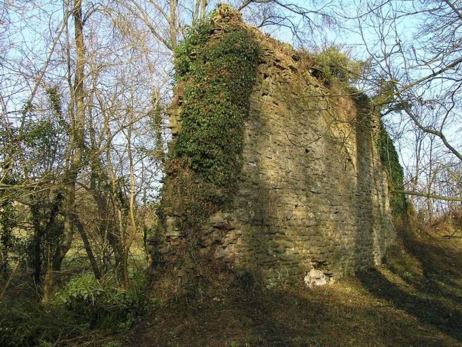 A photograph of a the ruins of a castle wall covered in ivy and surrounded by trees.