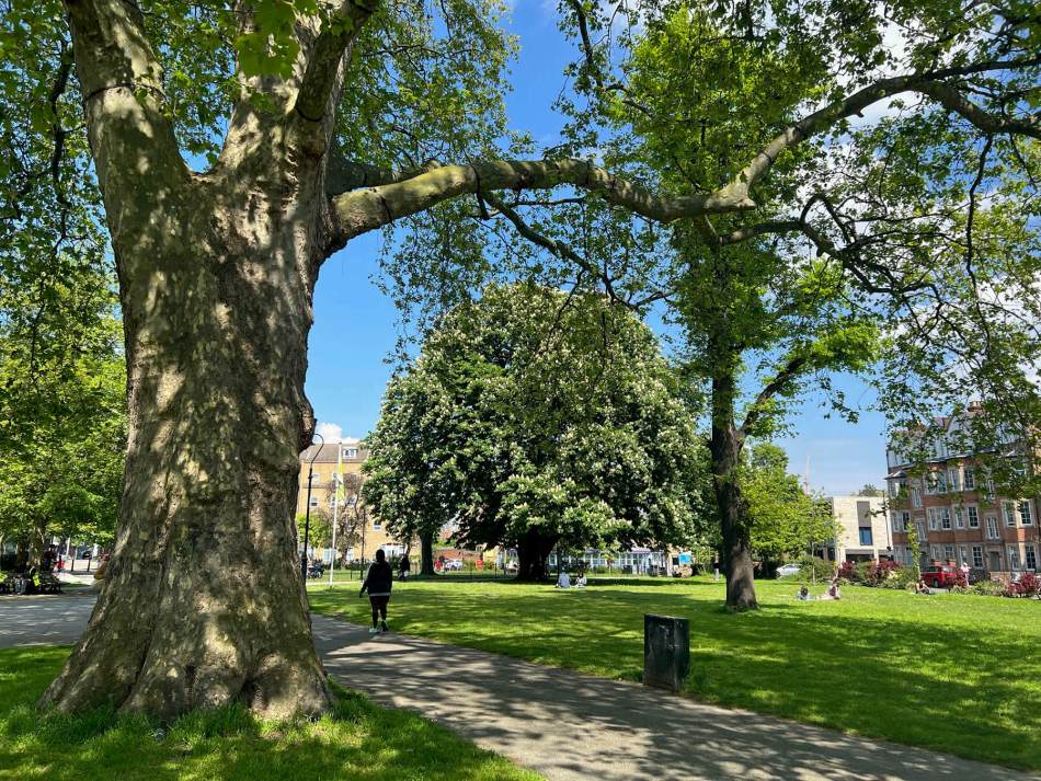 A photograph of a village green filled with trees and a path running through the middle.