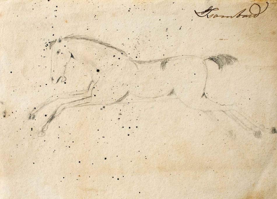A photograph of a pencil sketch of a horse running.