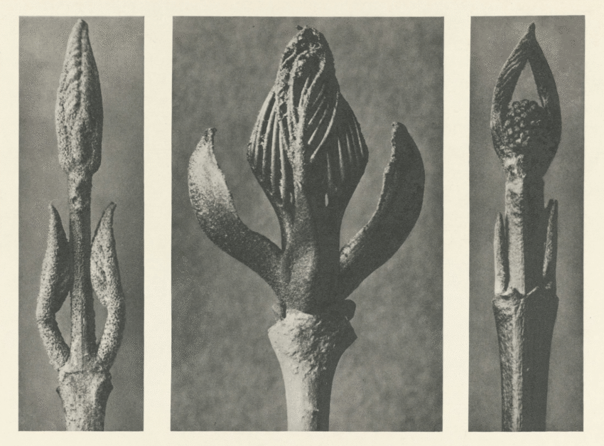 Best of 2025 – JHI Blog