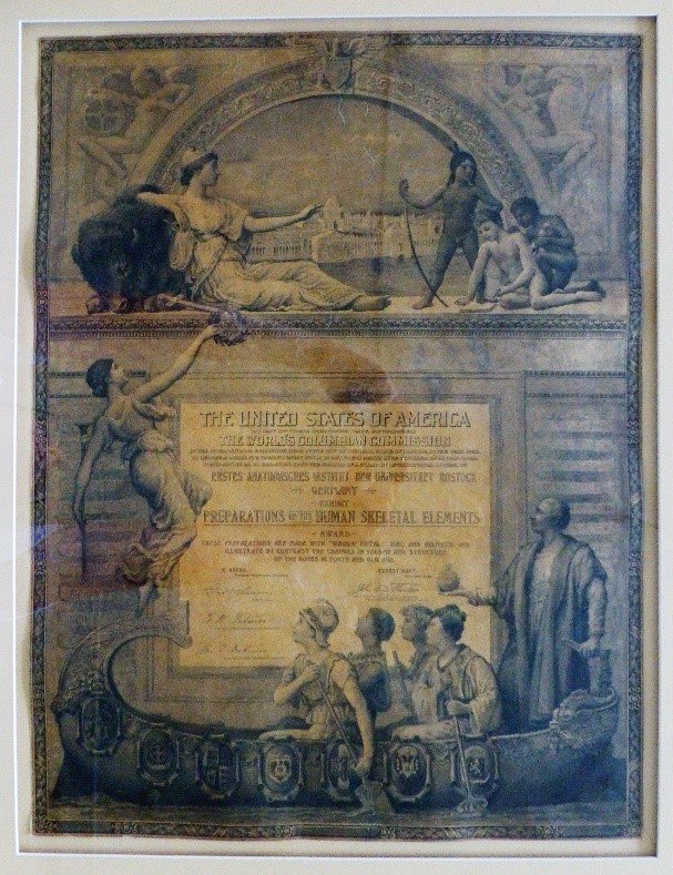 World Expositions as Transimperial Nodal Points and/or Dead Ends: Bogdanov in Paris (1878) and Rostock´s Anatomy in Chicago (1893)