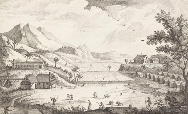 The Plantation Roots of Economic Modernity – JHI Blog